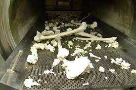 Cremation is performed at an extreme how does cremation work? Dissolve The Dead Controversy Swirls Around Liquid Cremation Scientific American