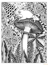 Frog, dragonfly, snail, leaves and mushrooms to color. Frog And Mushroom Coloring Pages Hard Coloring Pages Coloring Pages For Kids And Adults