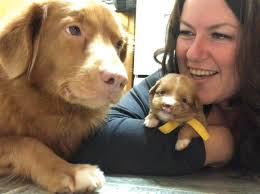 Six months ☀️Wee Beaver gets his cleft palate repaired tomorrow in  Vancouver- thank you to everyone who has shared and donated and commented  in support of our special boy ☀️ Hi mama