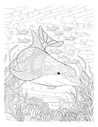 Pin On Adolt Colouring Sheets