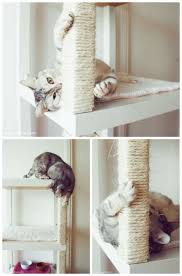 22 Astuces Indispensables Pour Tous Ceux Qui Ont Un Chat Fabriquer Arbre A Chat Arbre A Chat Jeux Pour Chat