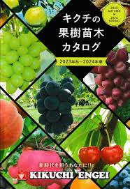 苗木 果樹苗木 専門店◇菊地園芸◇苗木の販売・通販サイト