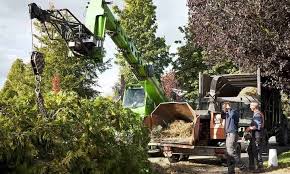 8 minimum stay from 2 night(s) bookable directly online. Tree Service Charlottesville Va Tree Removal Company 434 226 4600