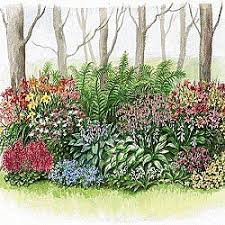 Shade Garden Maybe This Is Want I Need For My Backyard Shade Garden Shade Garden Design Garden Design Layout