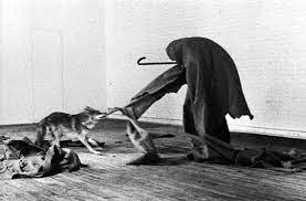 Mai 1974 in der galerie rené block in new york stattfand. Joseph Beuys I Like America And America Likes Me Kids Of Dada
