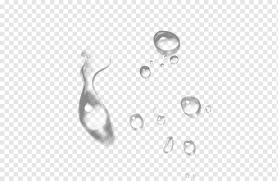 Scopri ricette, idee per la casa, consigli di stile e altre idee da provare. Splash Air Gambar Tetes Air Minum Embun Perhiasan Tubuh Hitam Dan Putih Perak Hitam Dan Putih Perhiasan Tubuh Lingkaran Png Pngwing