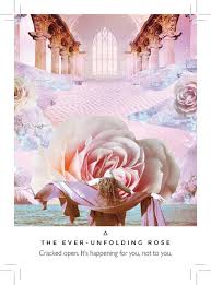 Work Your Light Oracle Cards A 44 Card Deck And Guidebook By Rebecca Campbell 9781781809952 Booktopia