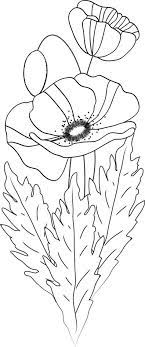 No matter the occasion, 1800flowers® has the perfect flowers & gifts for you! Un Bouquet De Coquelicots Flower Drawing Flower Painting Flower Sketches