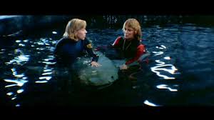 The most famous shark of all time is back. Jaws 3 D The Cinematic Animal