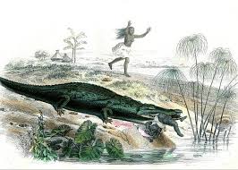 Nile Crocodile And Baby Greeting Card For Sale By Collection Abecasis Science Photo Library