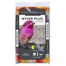 National Audubon Society 5 Lb Nyjer Plus Blend Bird Seed Lowes Com Audubon Society Bird Seed Bird Feeding Station