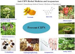 It seems to be getting worse. Frontiers Chemotherapy Induced Peripheral Neurotoxicity And Complementary And Alternative Medicines Progress And Perspective Pharmacology