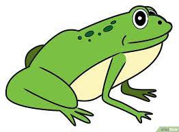 1 osserva il disegno e scrivi i nomi delle persone, degli animali e delle cose che vedi. Come Disegnare Una Rana Con Immagini Wikihow