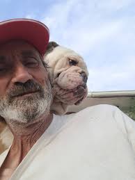 Bacan dog rescue added a new photo.