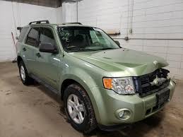 Image result for Kiwi Green 2009 Escape