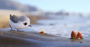 Bird From Finding Dory Pixar S Newest Theatrical Short Piper Is On Right Before Finding Dory Or You Can Watch It Here For A Limited Time Pixar Shorts Piper Pixar Pixar