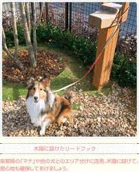 木陰に設けたリードフック 来客時の マテ や他の犬とのエリア分けに活用 木陰に設けて 居心地も確保してあげましょう ドッグラン 犬の庭 犬