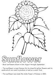 There are lots of things you can do to help your child develop and use these pages. Sunflower Pictures To Color Coloring Home