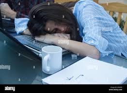 Young Entrepreneurial Chica Cansado De Trabajar Mucho Se Queda Dormida En La Parte Superior Del Ordenador Portatil Sobre La Mesa Ella Es Una Mujer De Negocios Con Demasiado Trabajo Fotografia De Stock