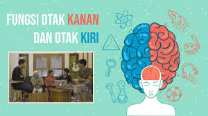 Perbedaan antara fungsi otak kanan dan otak kiri pertama kali dibuat sebagai upaya awal untuk mengidentifikasi penyebab masalah berbicara. Fungsi Otak Kanan Dan Otak Kiri Youtube