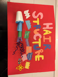 Paul Mitchell The School Hair Structure Diagram Teaching Beauty Hair School Cosmetology School