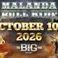 Malanda Bull Ride