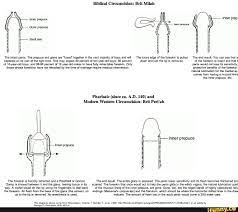 Frenulum is an elastic tissue that connects the foreskin to the vernal mucosa and the shaft. Milah Memes Best Collection Of Funny Milah Pictures On Ifunny