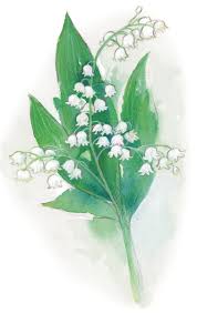 Spring aesthetic, flower aesthetic, lily of the valley flowers, tulip bouquet, flower. May Day Beauty Lily Of The Valley Vogue