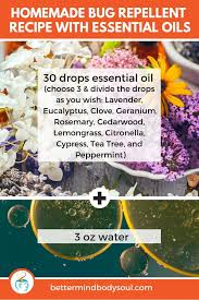 How to make natural insect repellent with essential oils. 31 Powerful Essential Oil Bug Repellent Recipes For Your Personal Use