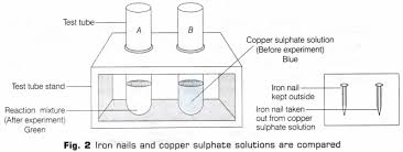 Cbse Class 10 Science Lab Manual Types Of Reactions A Plus Topper Science Lab Science Basic Concepts