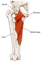 A groin strain is a muscle injury that can be painful and needs time to heal. Groin Strain How To Use A Tens Machine