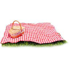 02 Png Png Png Images For Editing Picnic Blanket