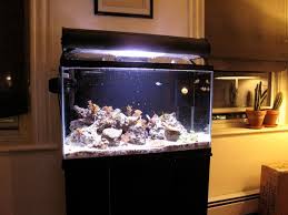 We did not find results for: How To Paint Aquarium Backgrounds Pethelpful