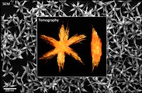 Nano letters reports on fundamental research in all branches of the theory and practice of nanoscience and nanotechnology, providing among the areas of interest the journal covers are: 23 Nano Letters 11 188 2011