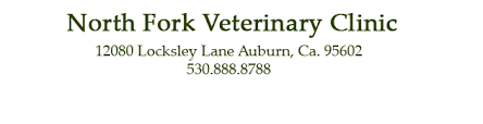 Our team enjoys career growth opportunities, flexible scheduling, paid time off, paid sick leave, paid trainings and bonuses. Veterinarians Auburn Ca North Fork Veterinary Clinic