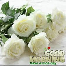 Check spelling or type a new query. Pin By Narendra Pal Singh On Good Morning Artificial Flower Bouquet Artificial Flowers Wedding Artifical Flowers