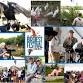 Birdiest Festival in America