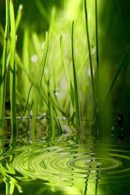 Nature is both healing and inspiring; Download Nature Wallpapers For Mobile Gallery