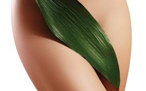 The popularity of brazilian barbecue has to lead to the founding of hundreds of restaurants, popping up all over the world. Brazilian Bikini Waxing Schulung Pink Waxing Academy