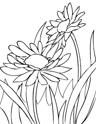 Download and print these free printable spring flowers coloring pages for free. Coloring Pages Draw Daisies Print This Page Spring Flowers Coloring Pages Free Flower Realistic Printable