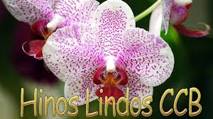 Tabela para avaliação de hinos. Hinos Ccb 2021 Hinos Ccb Cantados Hinario 5 Completo Congregacao Crista No Brasil Hinos Vol 19 Youtube