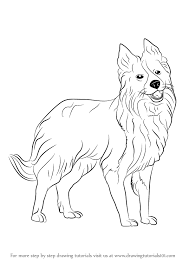 The collie dog is a native of scotland and is mostly of the highland regions. Learn How To Draw Border Collie Dogs Step By Step Drawing Tutorials