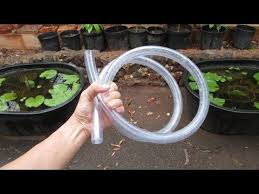 This is a garden hose to pinlock adapter for use in home brewing or whatever you would like to do. How To Clean Water Gardens With Partial Water Changes Using Siphon Water Garden Water Tub Garden