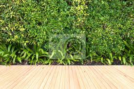 Robuster holzboden für lebendige räume. Holzboden Und Pflanze Mit Wand Garten Hintergrund Fototapete Fototapeten Platzierung Decking Terrasse Myloview De