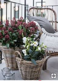 Pin Von Anna Lutz Auf Out Doors Gartnern Mit Wenig Platz Kleiner Balkon Garten Balkondekoration