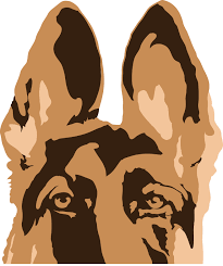 But since the longer coated version is rarer, availability needs consideration. Long Coat German Shepherd Svg Vector Graphic Art Printable Portrait German Shepherd Clipart Cuttable Png Long Hair German Shepherd Eps Clip Art Art Collectibles