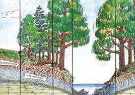 How Many Trees Does It Take To Protect A Stream Scientists Set Buffer Width Minimum Standard Nature Education Picture Tree Shade Trees