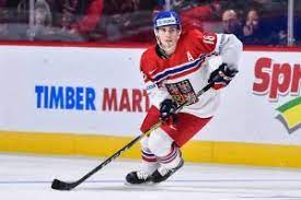 Špaček had played as a youth within the pardubice organization since 2010. Michael Spacek Dobberprospects