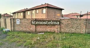 Image result for Stenostelma