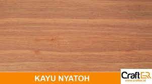 We did not find results for: Mengenal Kayu Nyatoh Kegunaan Dan Harga Kayu Nyatoh Inovasi Dunia Konstruksi Dan Bangunan Terkini